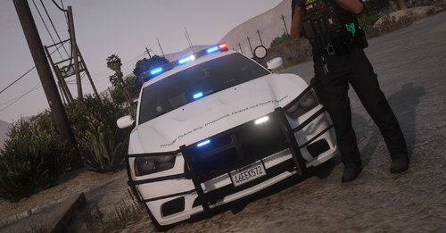 图片[4]-布莱恩县警长包 [ELS]-GTA 优质网