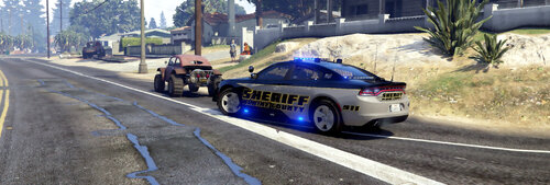 Blaine Sheriff Two Car Pack