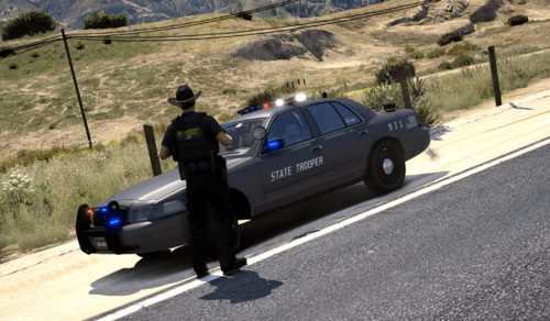State Trooper Livery for Crown Vic & Ford Explorer