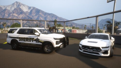 Montgomery County TX Sheriff's Office new liveries