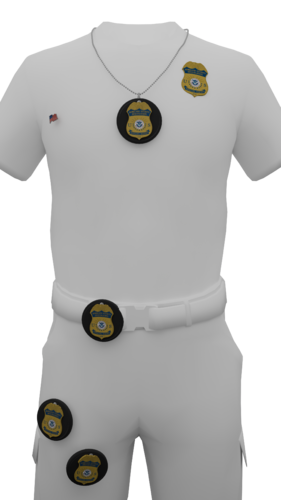 Department of Homeland Security (DHS) Badge Model