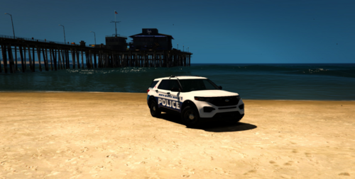 North Myrtle Beach Police 2020 FPIU