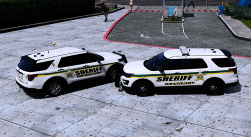 Palm Beach County / Los Santos County Livery Pack