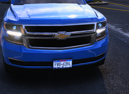Texas Plate Overhaul for peds & cops