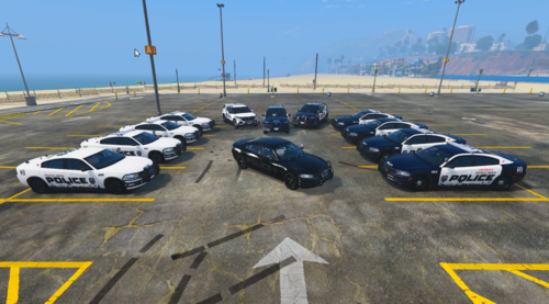 Vespucci Beach Police Mini Texture Pack