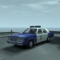 1989 Ford Crown Victoria Raleigh Skin