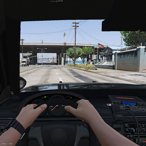 First Person Siren/Light Indicator & Blip Siren Mod