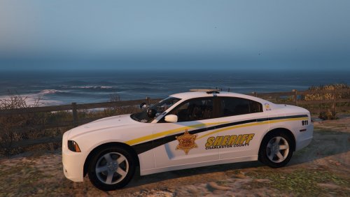 Charleston County SC Sheriff Textures