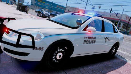 CS&KT Tribal Police Skin Pack