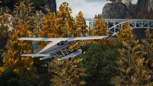 San Andreas Tree Project