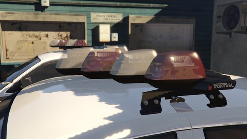 Fedsig Vision/Vision SL/ 3Pod