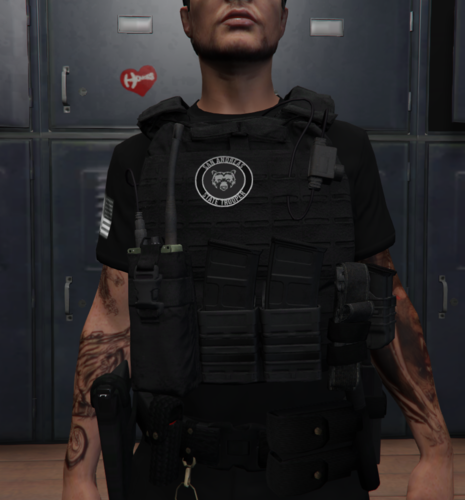 [EUP] SAST Vest Pack [SP / FIVEM] - Player & Ped Modifications - LCPDFR.com