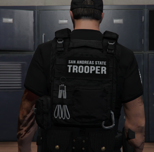 [EUP] SAST Vest Pack [SP / FIVEM] - Player & Ped Modifications - LCPDFR.com