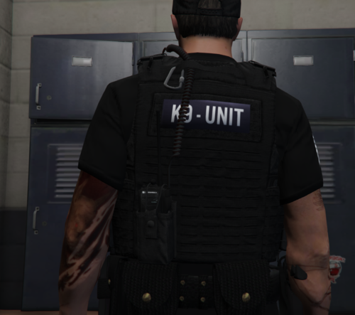 Civilian vest with morale patches. - Player & Ped Modifications 
