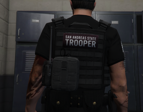 [EUP] SAST Vest Pack [SP / FIVEM] - Player & Ped Modifications - LCPDFR.com