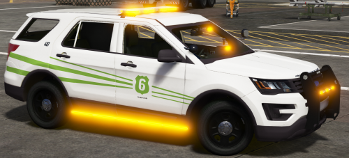 Gruppe 6 2016 Explorer Skin