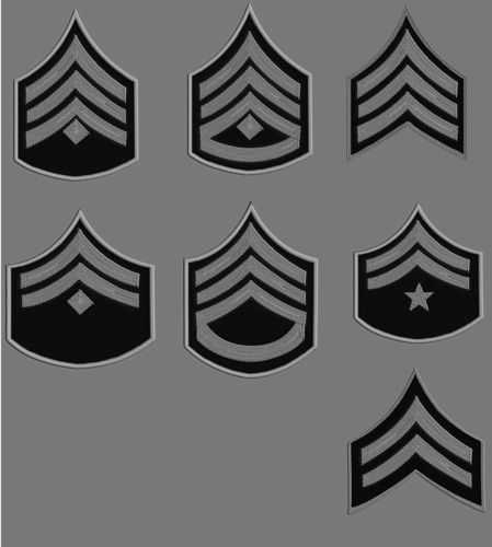 nypd ranks insignia