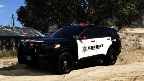 Davidson County Sheriff's Office North Carolina Skins. Charger & FPIU ...