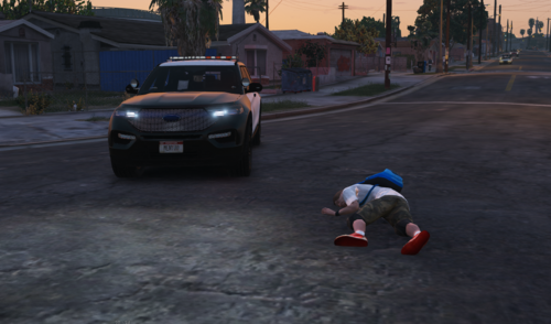 Deceased Body Callout