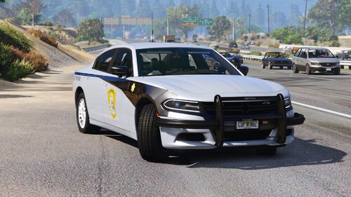 [DLS] CSP Slicktop and Unmarked 2018 Charger