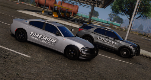 Peach County Sheriff's Office (PCSO) GA Livery's