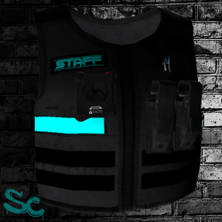 Fivem Staff Vests – Create staff vest for your fivem gta server – YKNN