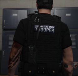 [EUP] SAST Vest Pack [SP / FIVEM] - Player & Ped Modifications - LCPDFR.com