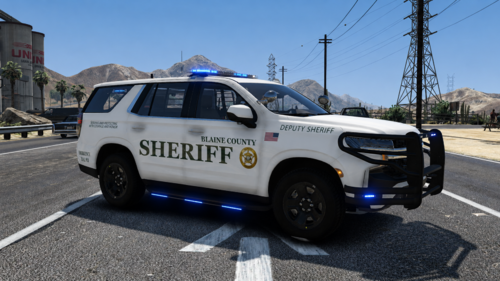 BSCO Livery Mega Pack (Bulloch County, GA Based) + UB Config