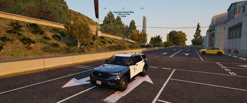 LAPD Texture for 2020 FPIU