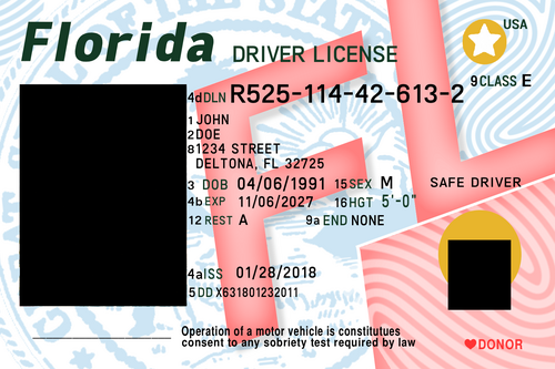 Realistic Florida ID pack