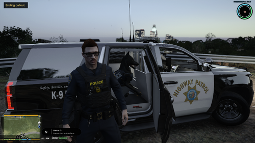 K9 CHP Vest texture