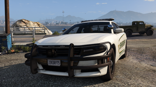 2016 - 2020 Ambrosia County Dodge Charger