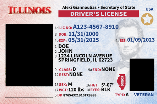 Realistic Illinois ID pack