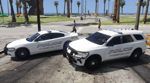 Tybee Island, GA Police / Vespucci Beach Police Livery Mini Pack