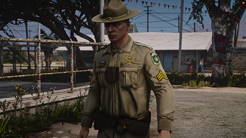 Smithy's Developments BCSO Pack