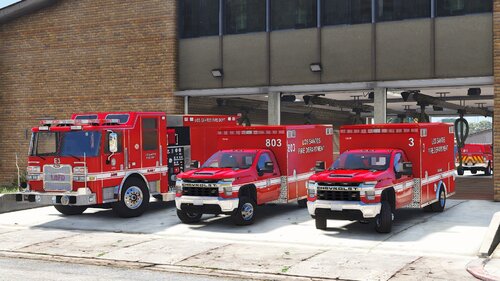 Project LSFD