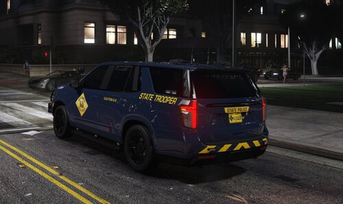 SASP skin pack based on Delaware State Police