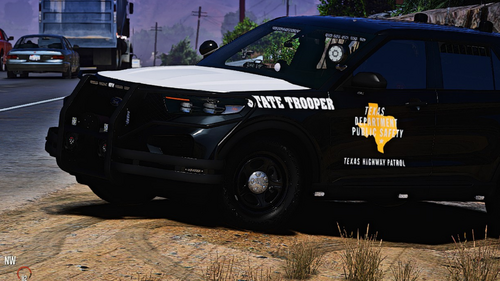 2020 FIPU Slicktop TX DPS Texture