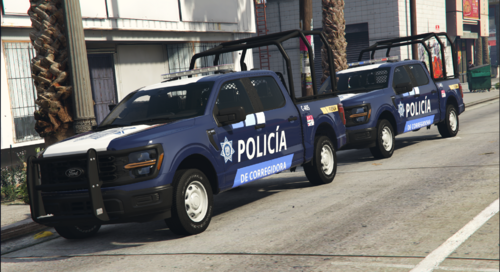 Textura 2025 F150 Policía Municipal De Corregidora