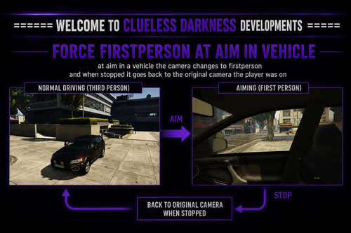 Force firstperson in vehicles