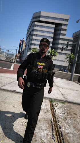 Harris County Sheriff Office CRU(crime reduction unit)