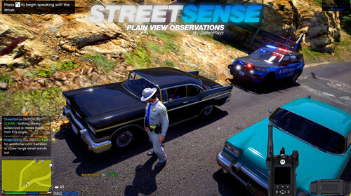 StreetSense - Realistic Plain View Traffic Stop Observations 1.0.0