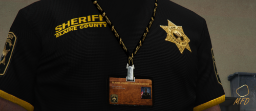 BCSO Service Badge