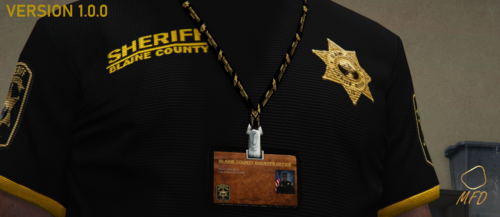 BCSO Service Badge