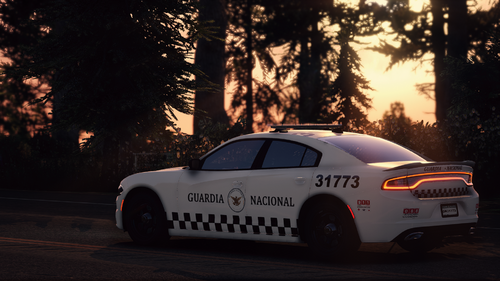 Charger 2019 Guardia nacional México Mx Add-on ELS