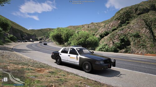 LSPDFR Little Things