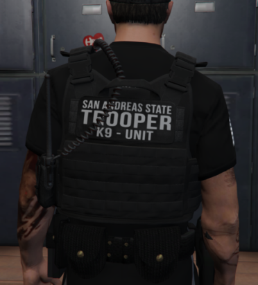 [EUP] SAST Vest Pack [SP / FIVEM] - Player & Ped Modifications - LCPDFR.com