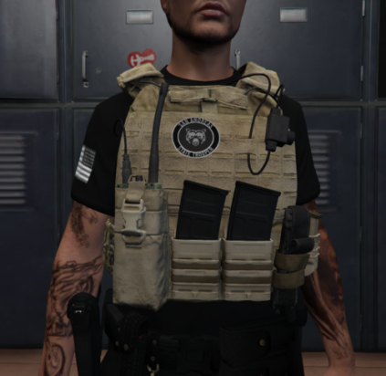 [EUP] SAST Vest Pack [SP / FIVEM] - Player & Ped Modifications - LCPDFR.com