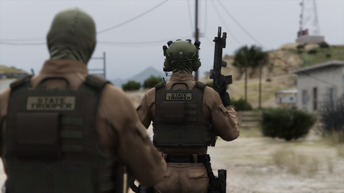 Could contain: outdoor, sky, weapon, ballistic vest, ranged weapon, military, gun, firearm, military person, military organization, infantry, military uniform, army, rifle, soldier, clothing, marines, camouflage, troop, security, person