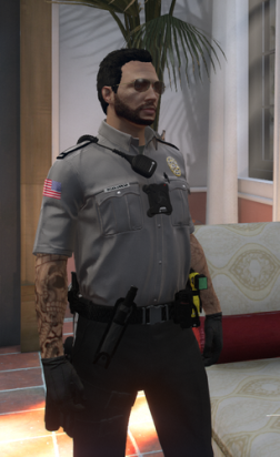 Anonymous Designs | LSPD Mini Pack 2023 - Player & Ped Modifications ...